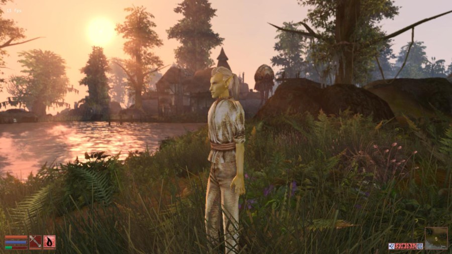 Morrowind-2012-02-26-19-54-52-48