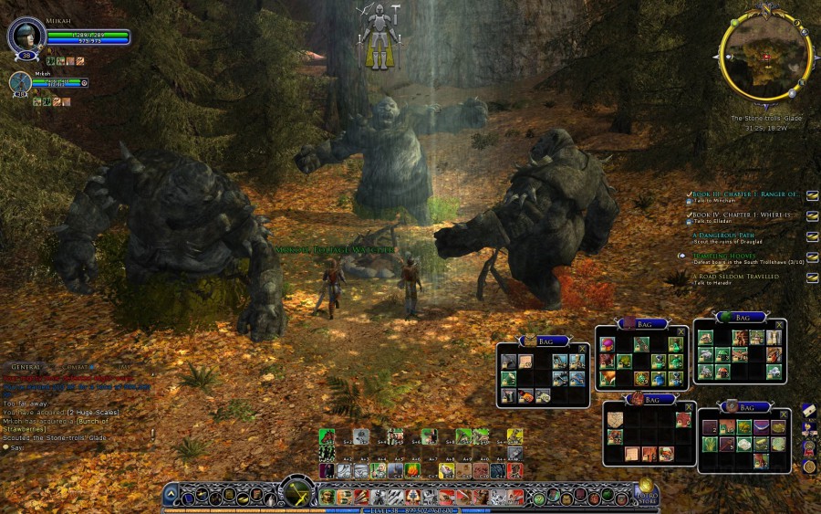 The_Lord_of_the_Rings_Online_Screenshot_3